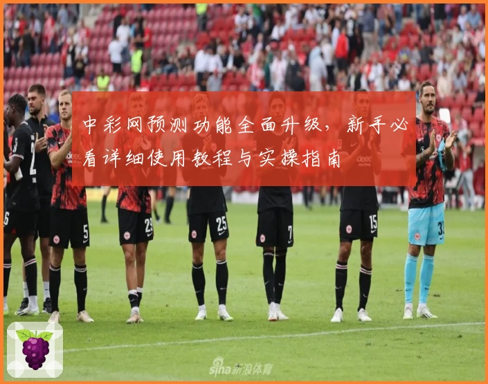 中彩网预测功能全面升级,新手必看详细使用教程与实操指南
