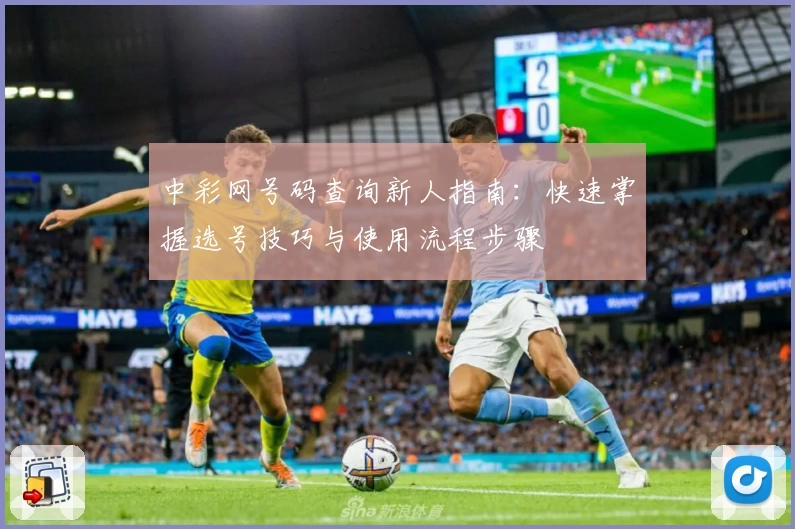 中彩网号码查询新人指南：快速掌握选号技巧与使用流程步骤
