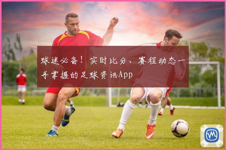 球迷必备！实时比分、赛程动态一手掌握的足球资讯App