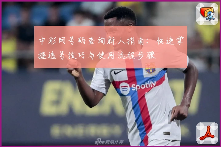 中彩网号码查询新人指南：快速掌握选号技巧与使用流程步骤