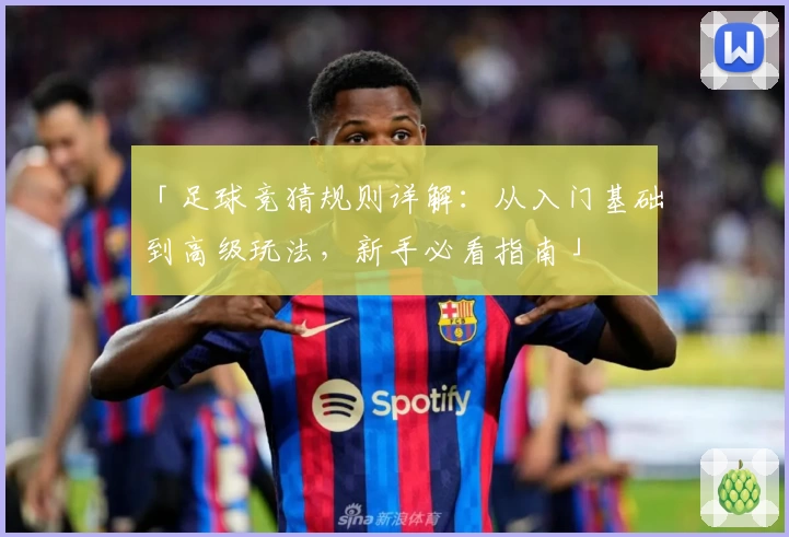 「足球竞猜规则详解：从入门基础到高级玩法，新手必看指南」