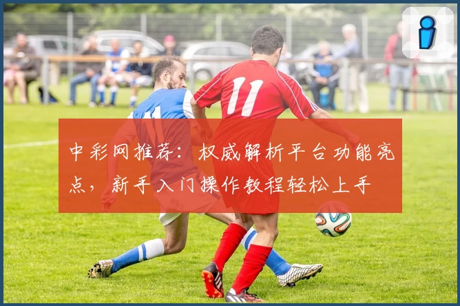 中彩网推荐：权威解析平台功能亮点，新手入门操作教程轻松上手