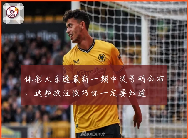 体彩大乐透最新一期中奖号码公布,这些投注技巧你一定要知道
